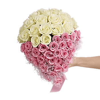 Delicate Petal Cascade