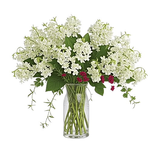 Ivory Blossom Radiance