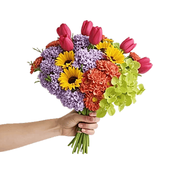 Blossom Harmony Display