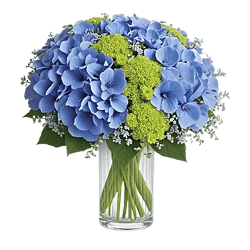 Sapphire Bloom Whisper