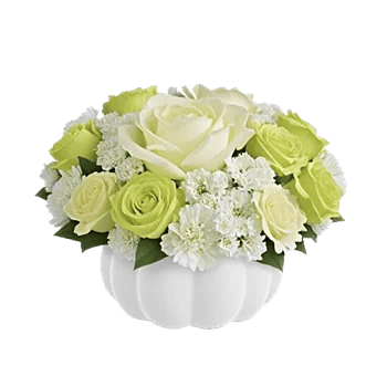 Minimalist White Orchids