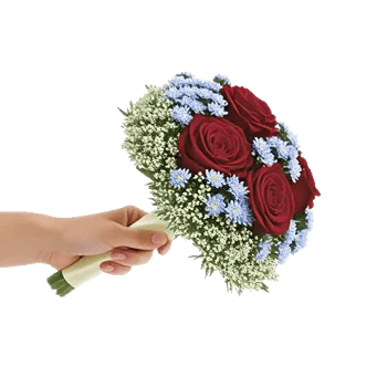 Crimson Rose Elegance