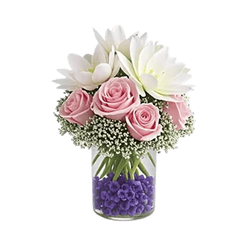 Ivory Blossom Radiance