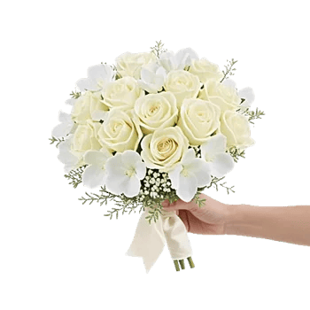 Modern White Orchids