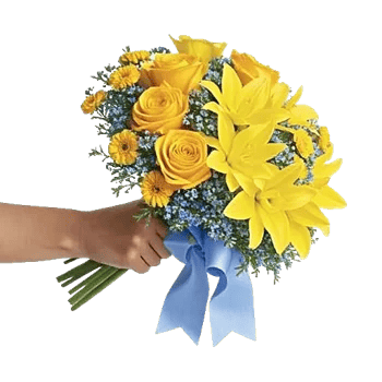 Blossom Harmony Display