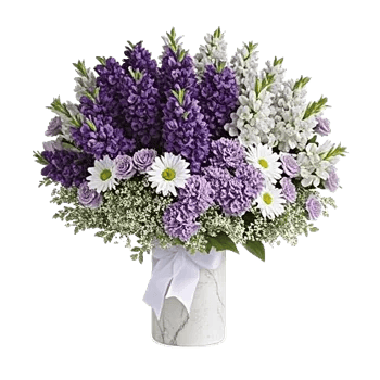 Ivory Blossom Radiance