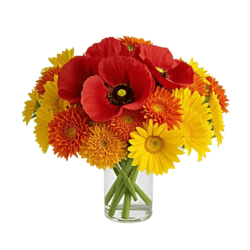 Petal Radiance Bliss