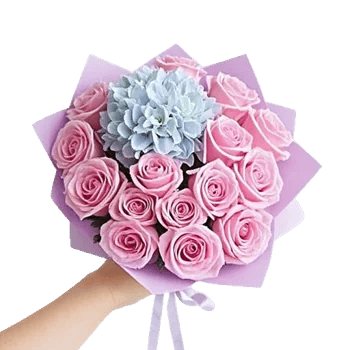 Pastel Pink Roses