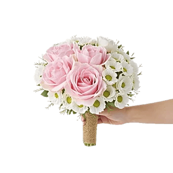 Peony Petal Harmony
