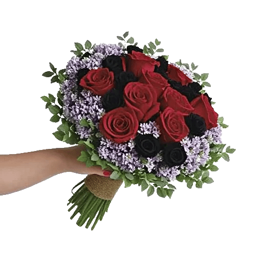 Crimson Rose Elegance