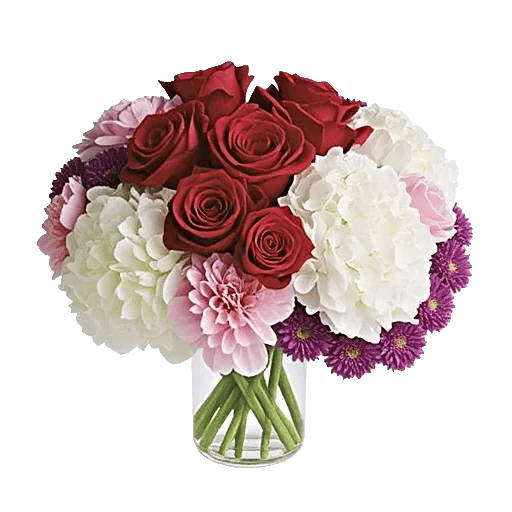 Petal Radiance Bliss