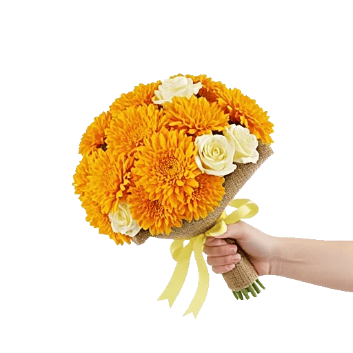 Golden Petal Harmony