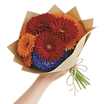 Crimson Rose Elegance