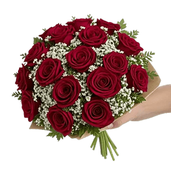 Crimson Rose Elegance