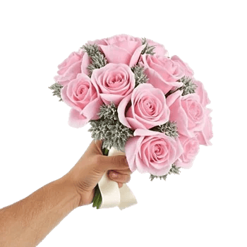 Pastel Pink Roses