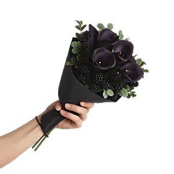 Elegant Calla Lilies