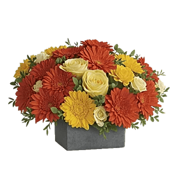 Golden Petal Harmony