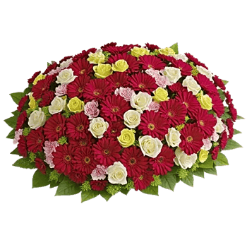 Delicate Petal Cascade