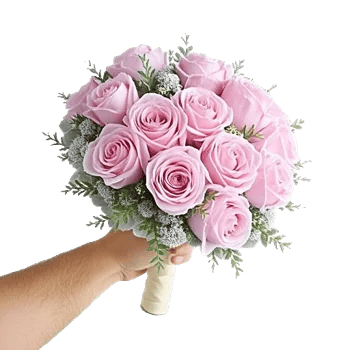 Pastel Pink Roses