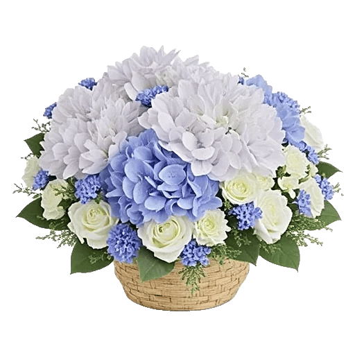 Serene Petal Harmony