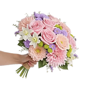 Pastel Pink Roses