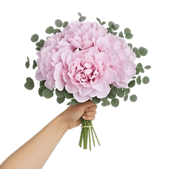 Serene Petal Harmony