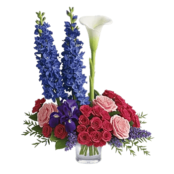 Elegant Calla Lilies