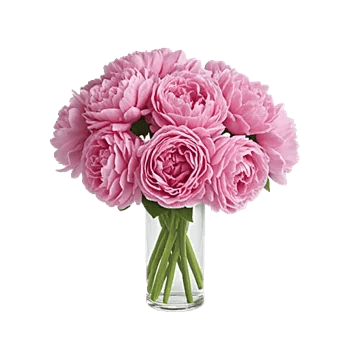 Petal Radiance Bliss