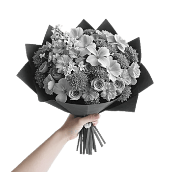 Ivory Blossom Radiance