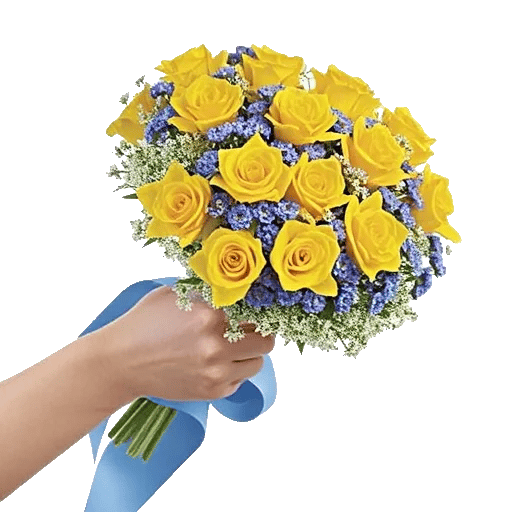 Blossom Petal Serenity