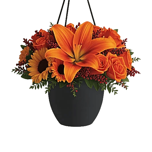 Amber Sunflower Glow