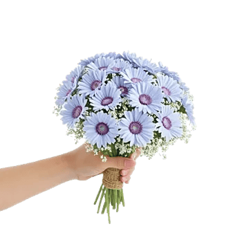 Blossom Petal Serenity