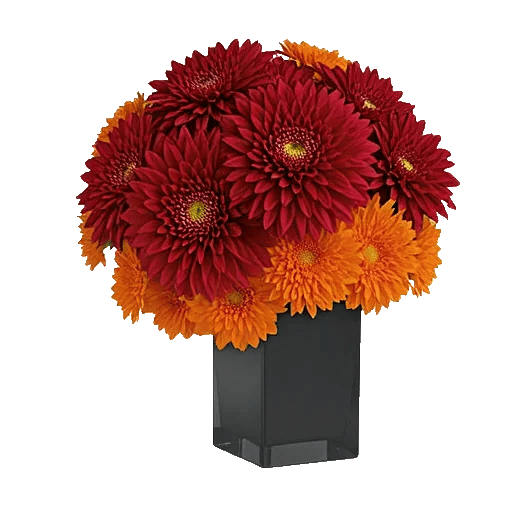 Crimson Blossom Harmony
