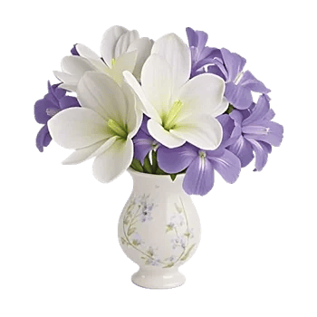 Ivory Blossom Radiance