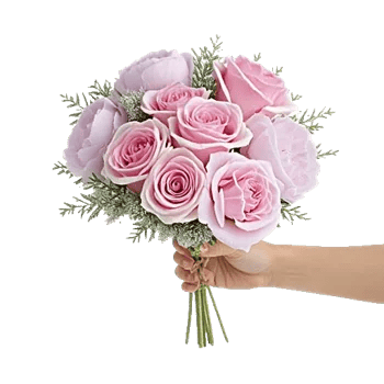 Pastel Pink Roses