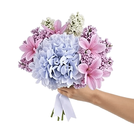 Serene Petal Harmony