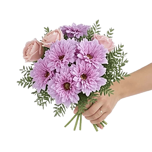 Petal Softness Display