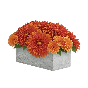 Radiant Bloom Cascade