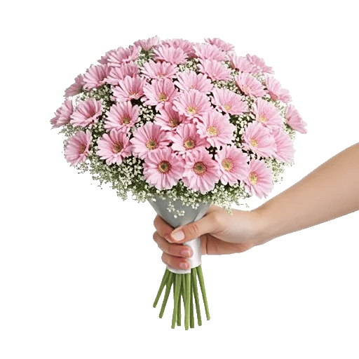 Pastel Pink Roses