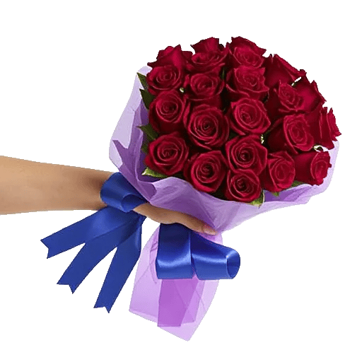 Crimson Rose Elegance