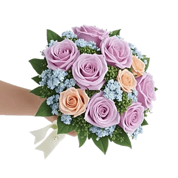 Pastel Pink Roses