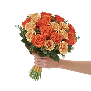 Golden Rose Radiance