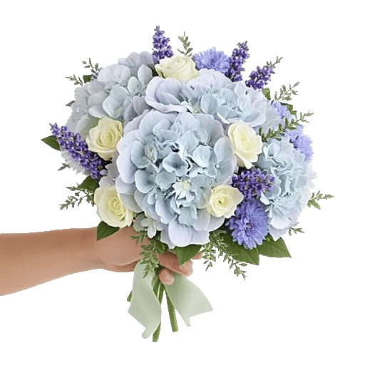 Sapphire Bloom Whisper