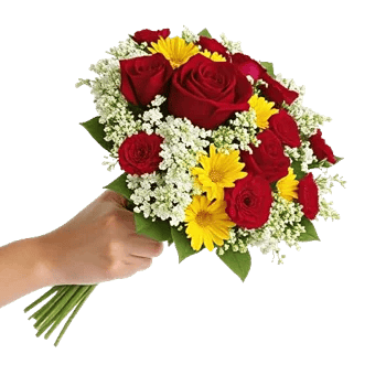 Crimson Rose Elegance