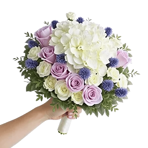 Serene Petal Harmony