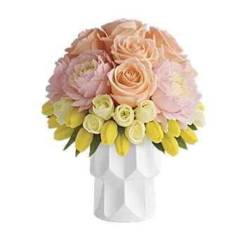 Petal Radiance Bliss