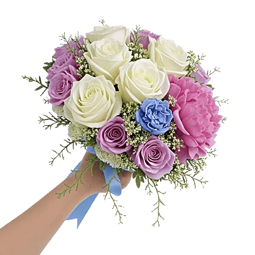 Serene Petal Harmony