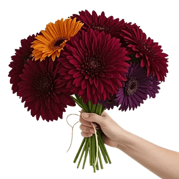 Crimson Blossom Harmony