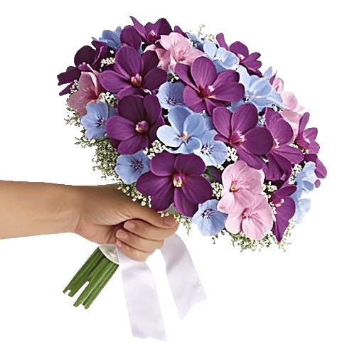 Serenity Orchid Bloom