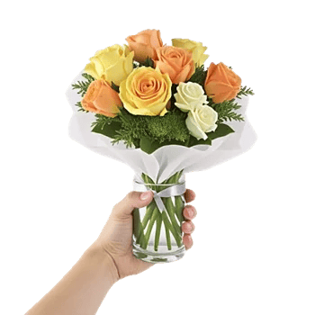 Radiant Petal Display